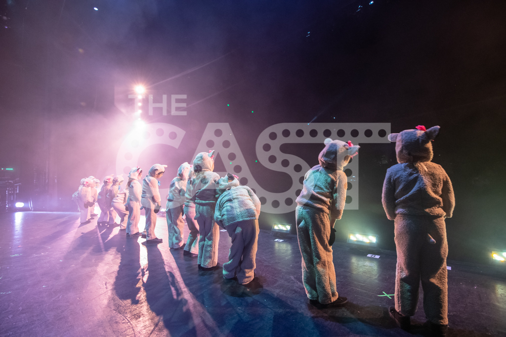 CastProductions_2019-2968.jpg