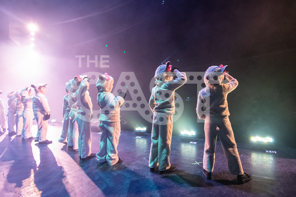 CastProductions_2019-2969.jpg
