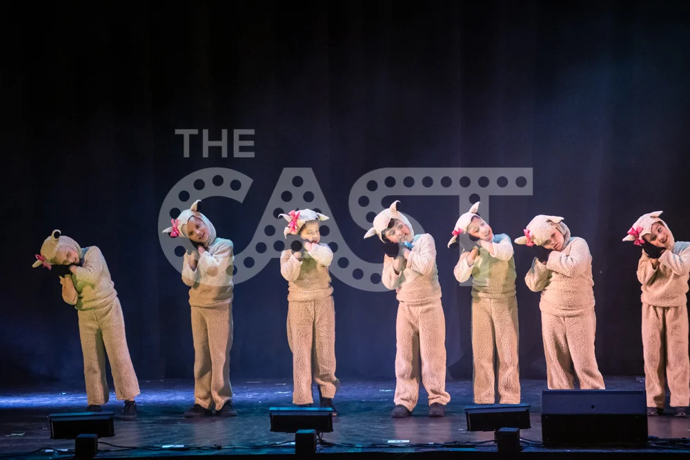 CastProductions_2019-3494.jpg
