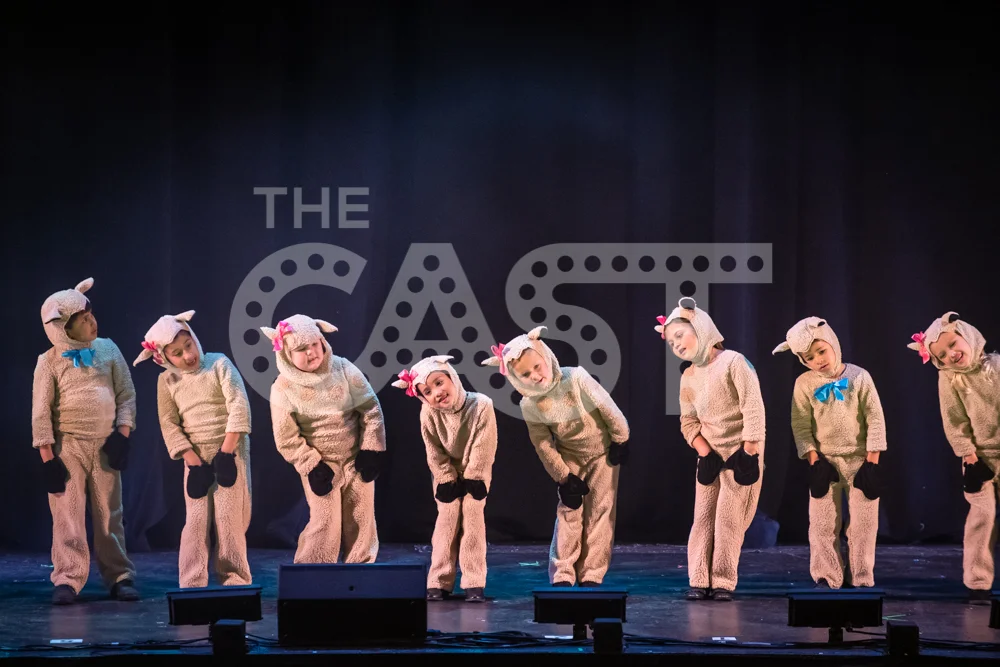 CastProductions_2019-3495.jpg