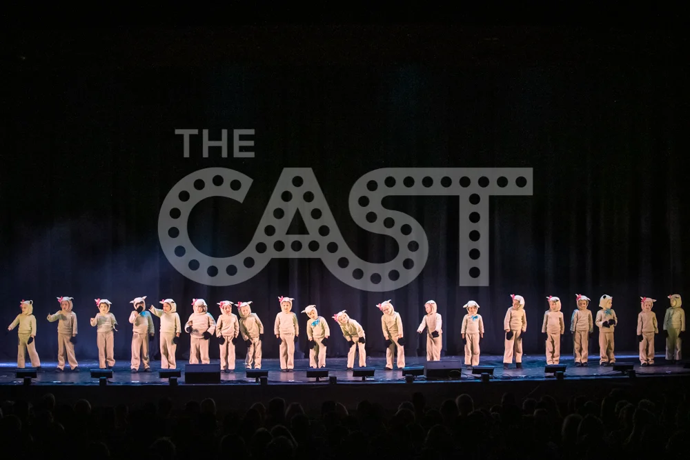 CastProductions_2019-3501.jpg