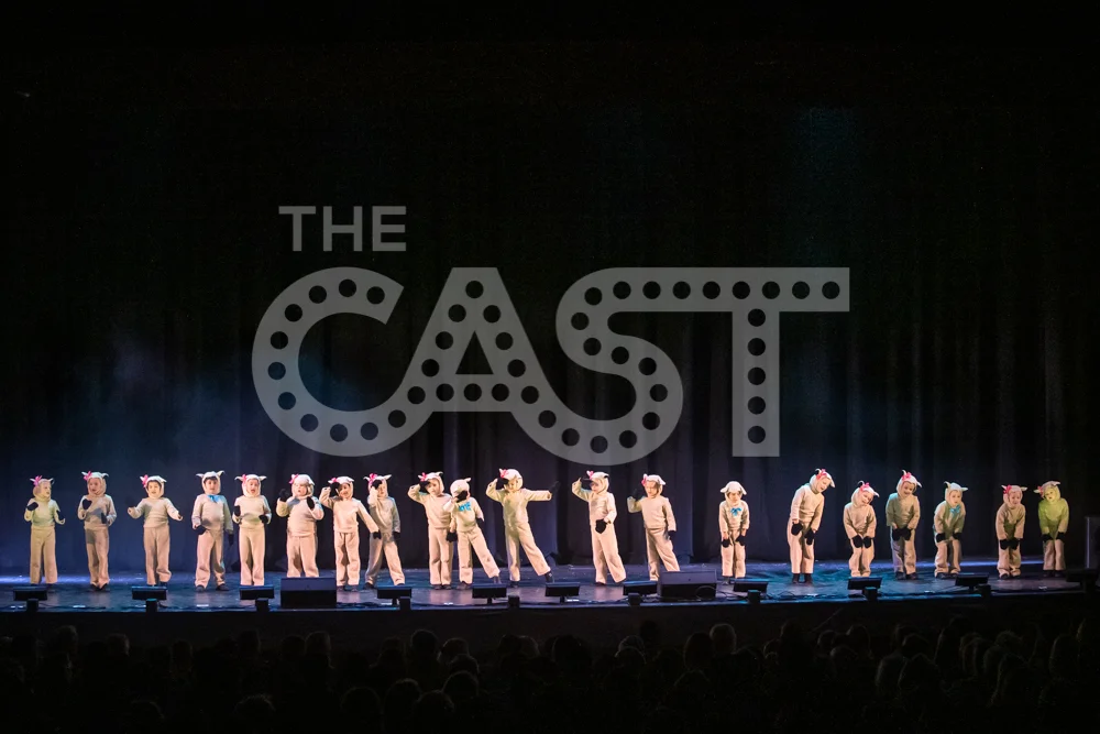 CastProductions_2019-3503.jpg