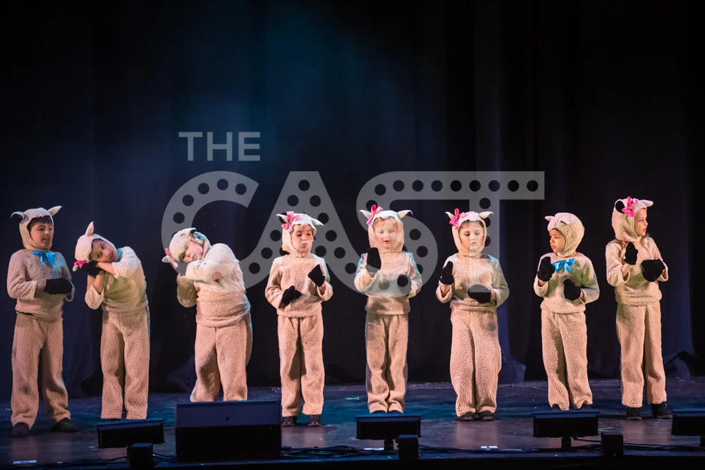 CastProductions_2019-3505.jpg