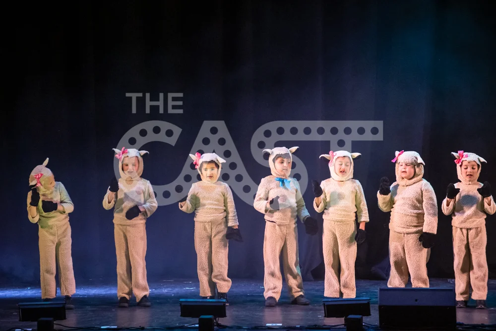 CastProductions_2019-3504.jpg