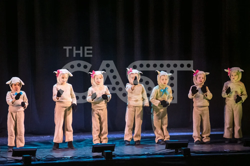 CastProductions_2019-3507.jpg
