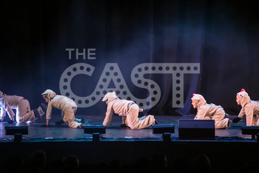 CastProductions_2019-3508.jpg