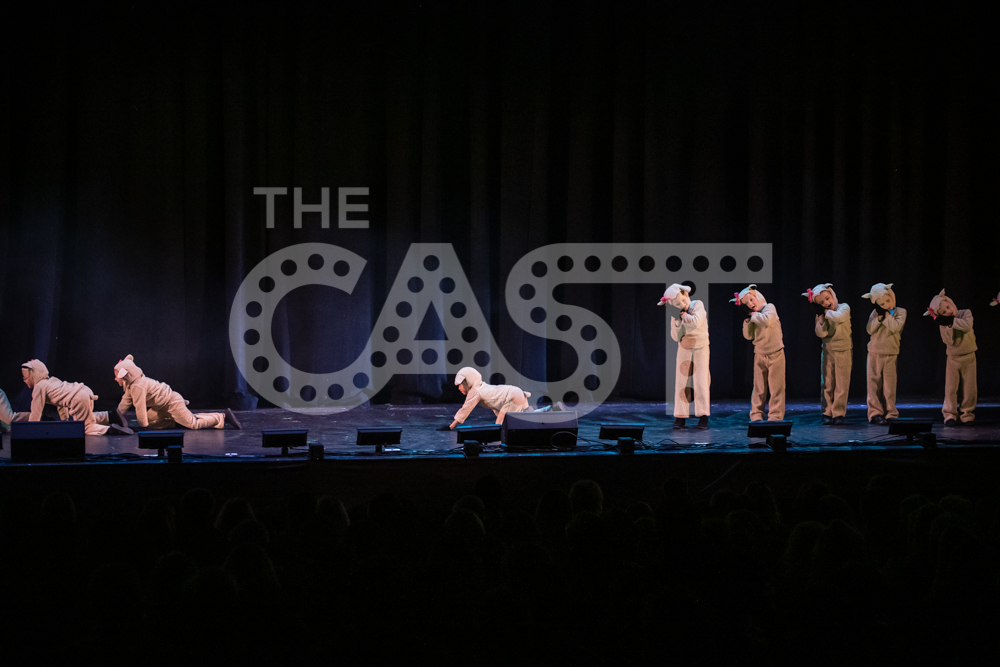 CastProductions_2019-3511.jpg