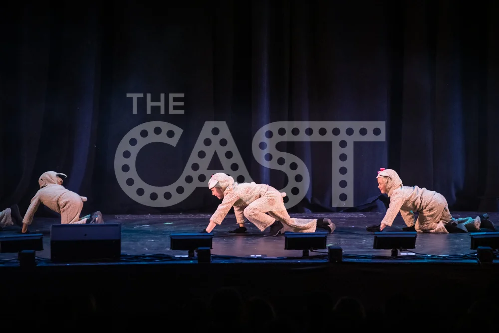 CastProductions_2019-3514.jpg