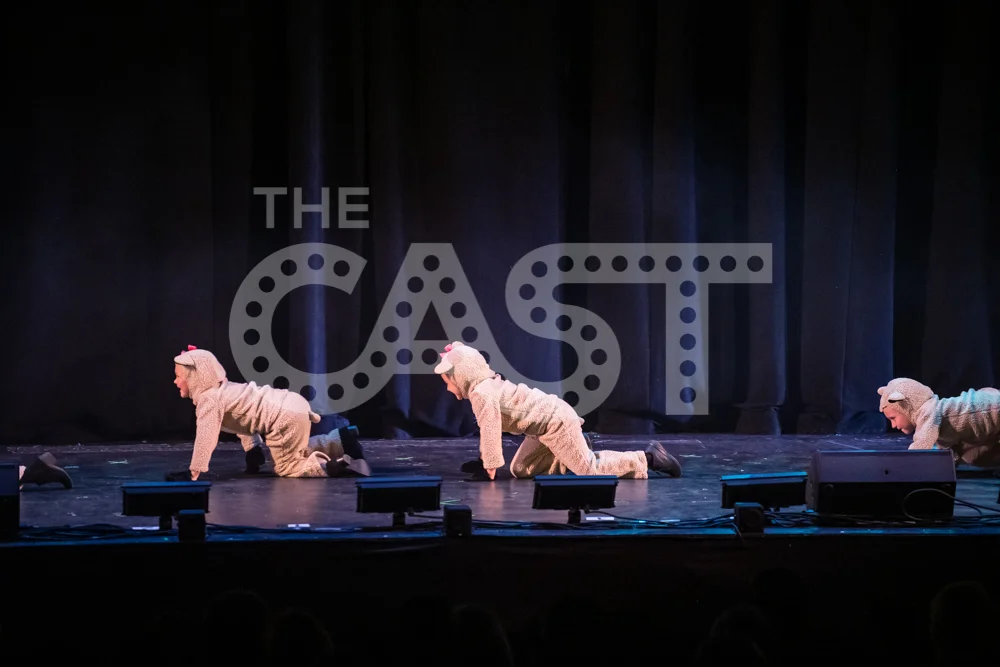 CastProductions_2019-3515.jpg