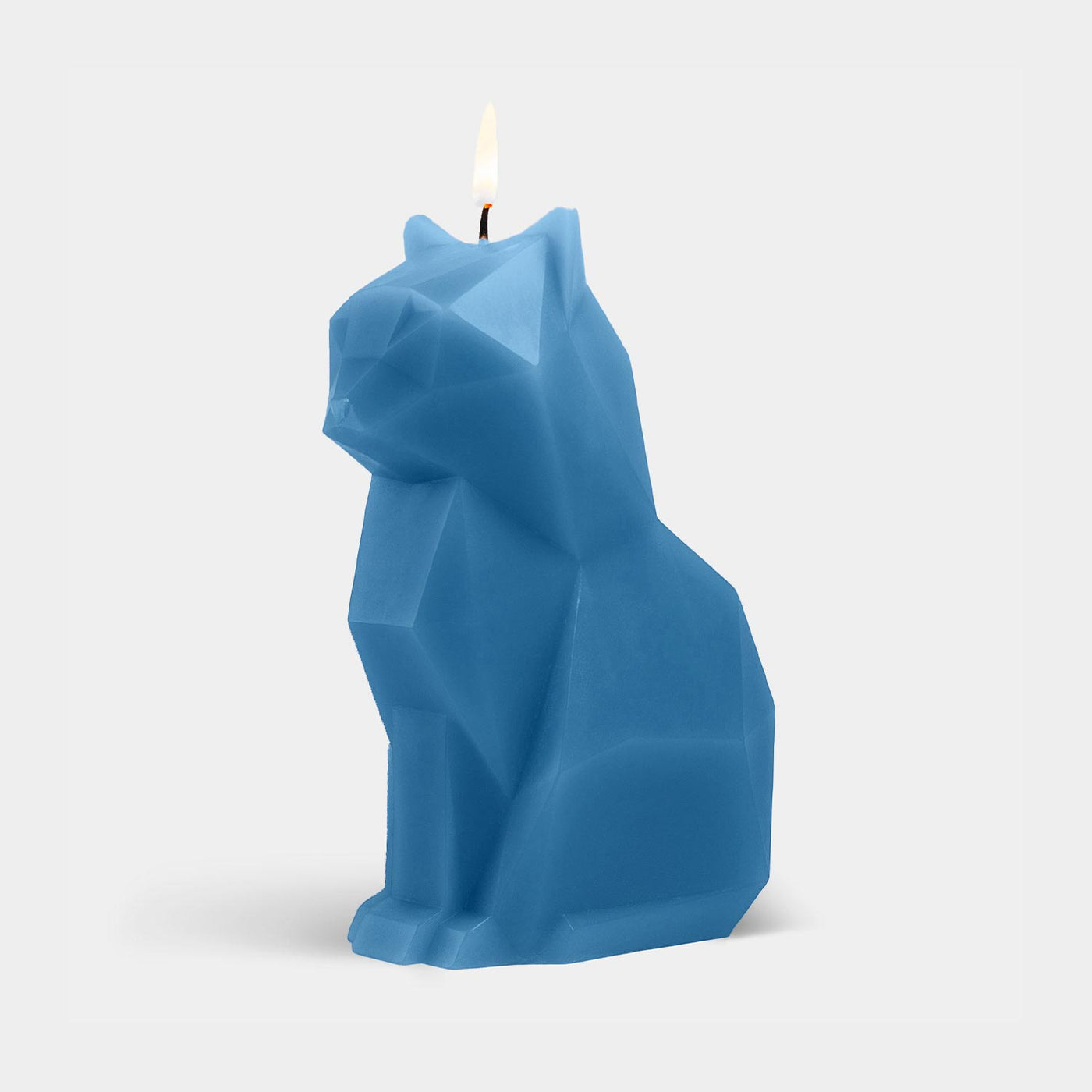 kisa_blue1_54ffccd0-97f2-46cc-9f7a-59853ebb8420.png