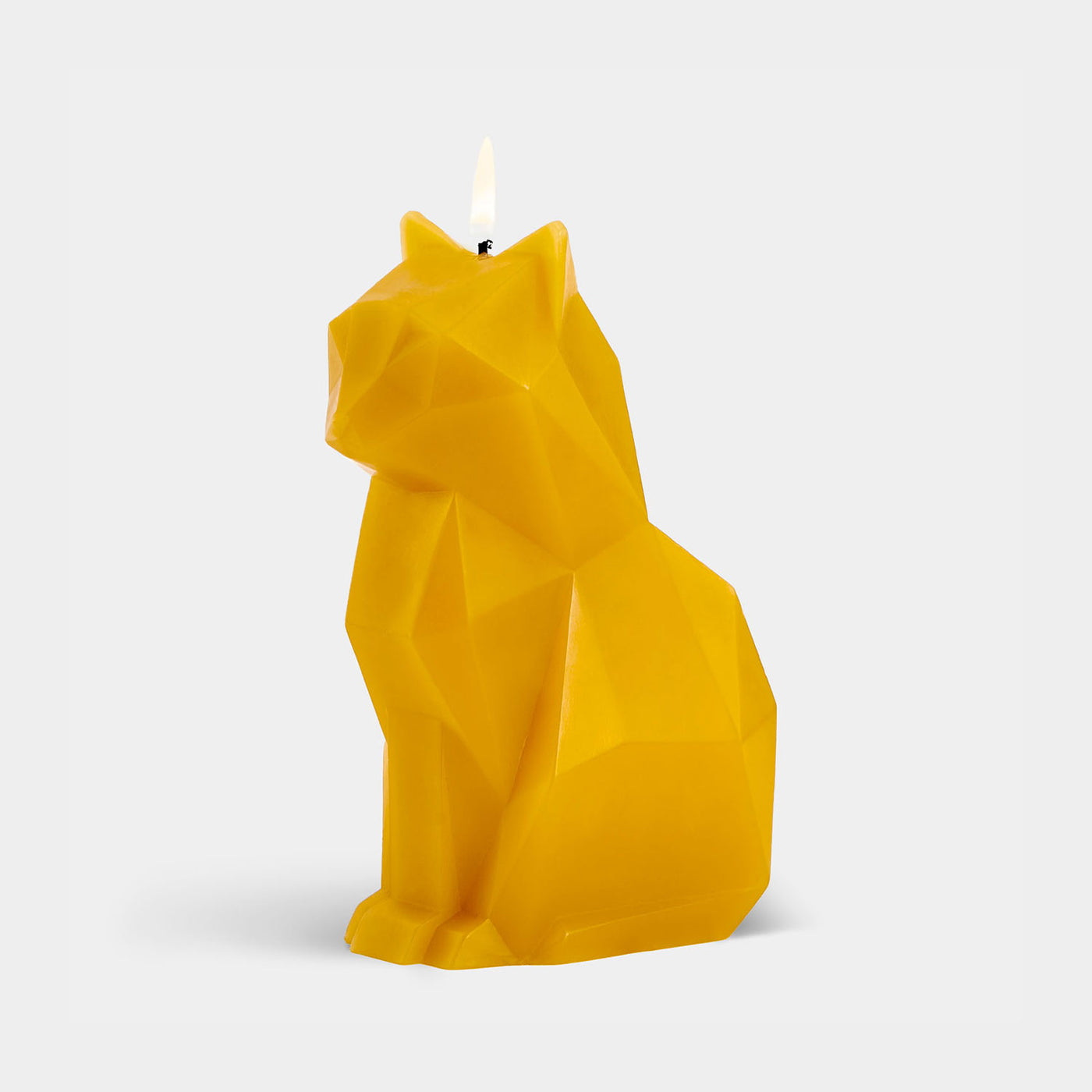 kisa_mustard1_cff446bd-e435-462a-bf47-506431c9e405.png