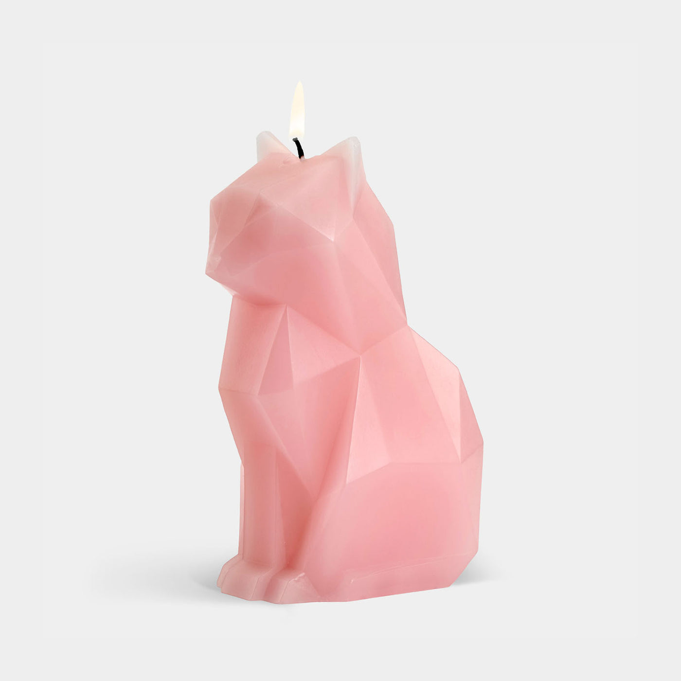 kisa_lightpink1_87974048-e51a-4d48-bc87-1f79aec89a31.png