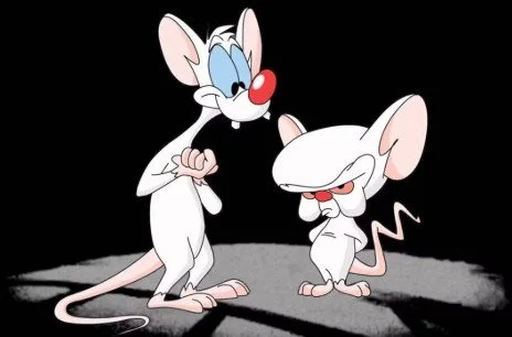 Pinky and the Brain (T.C. Science Lab)