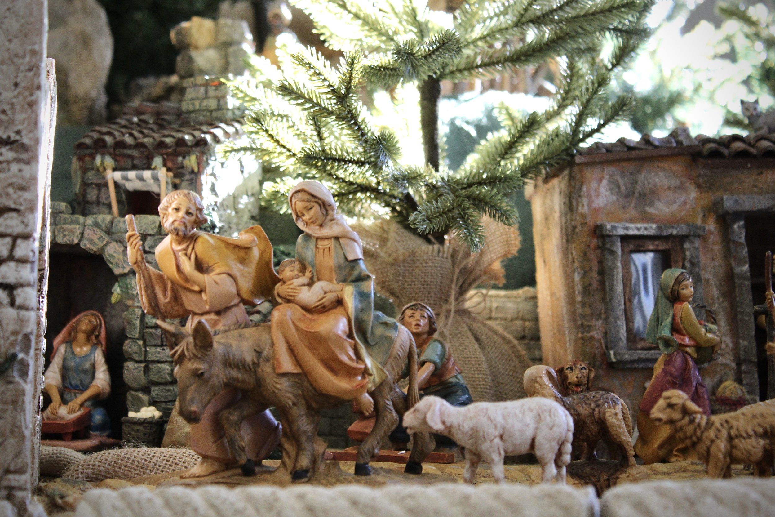St. Thomas Glann Mills. Steve Shot. Nativity. Christmas Village (3).jpeg