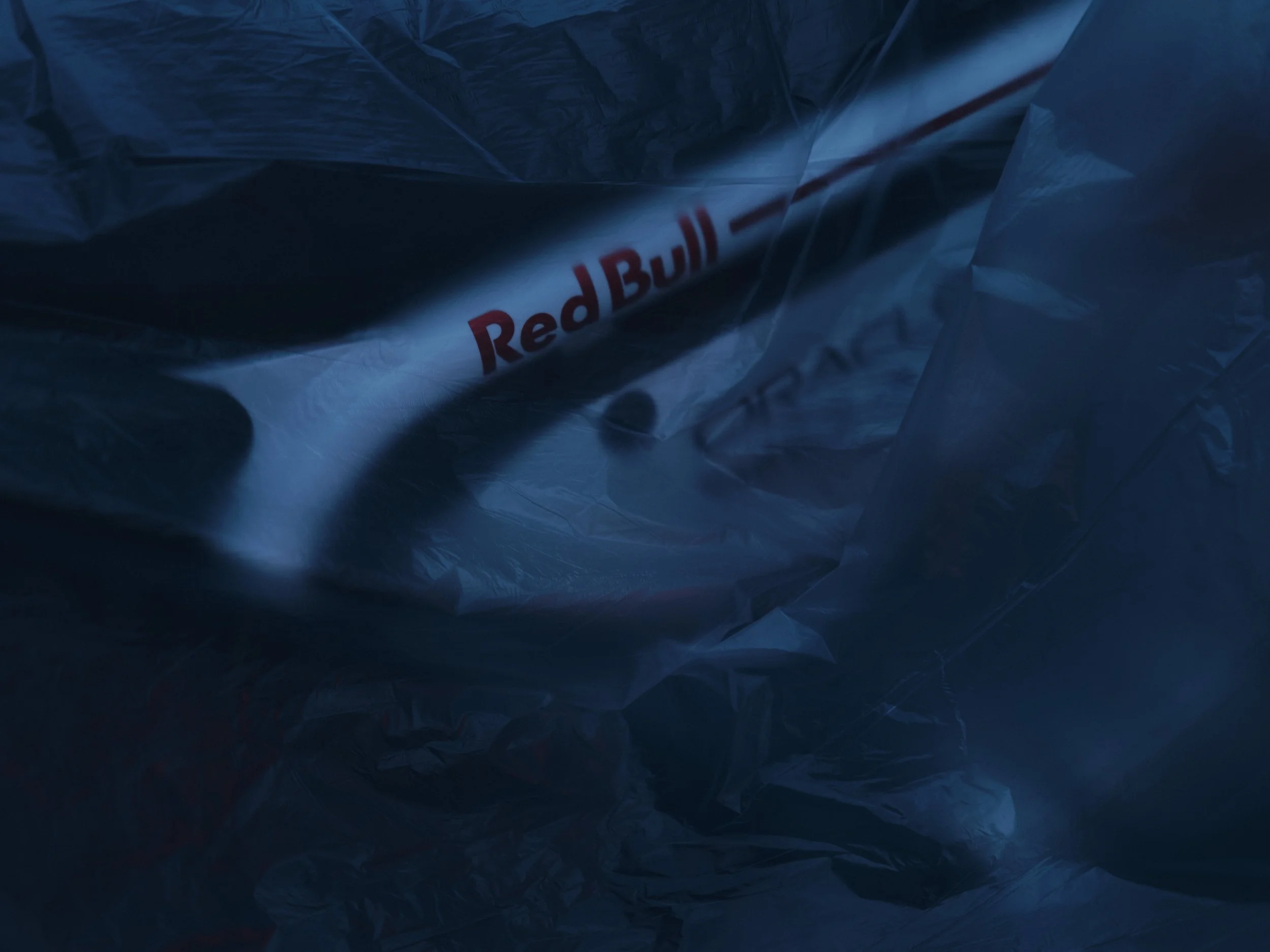 73 x red bull2593.jpg