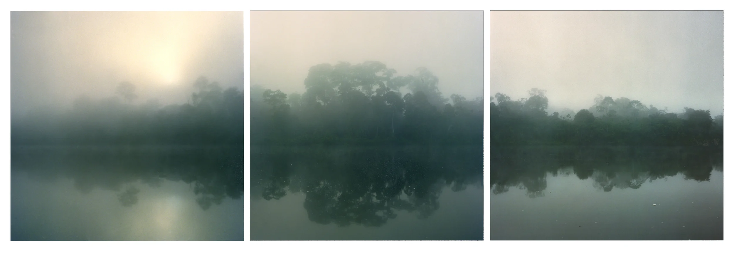 Surinam Sunrise, 3 images, 30" x 30", 2005