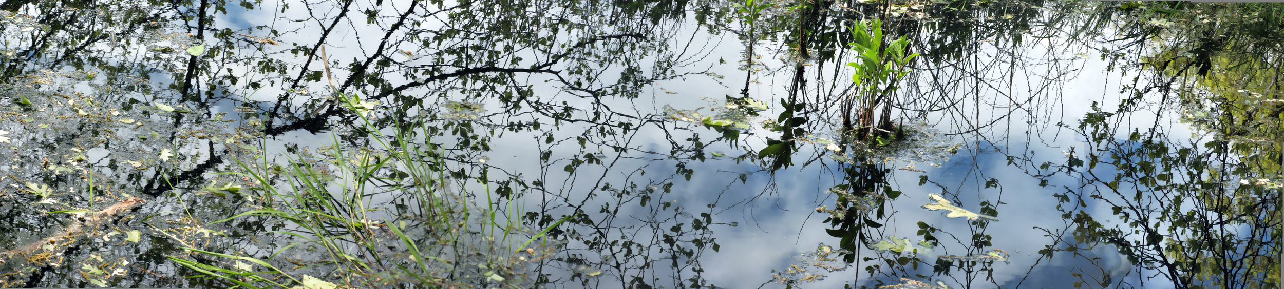 May 8 Pond , 20" x 88", 2012