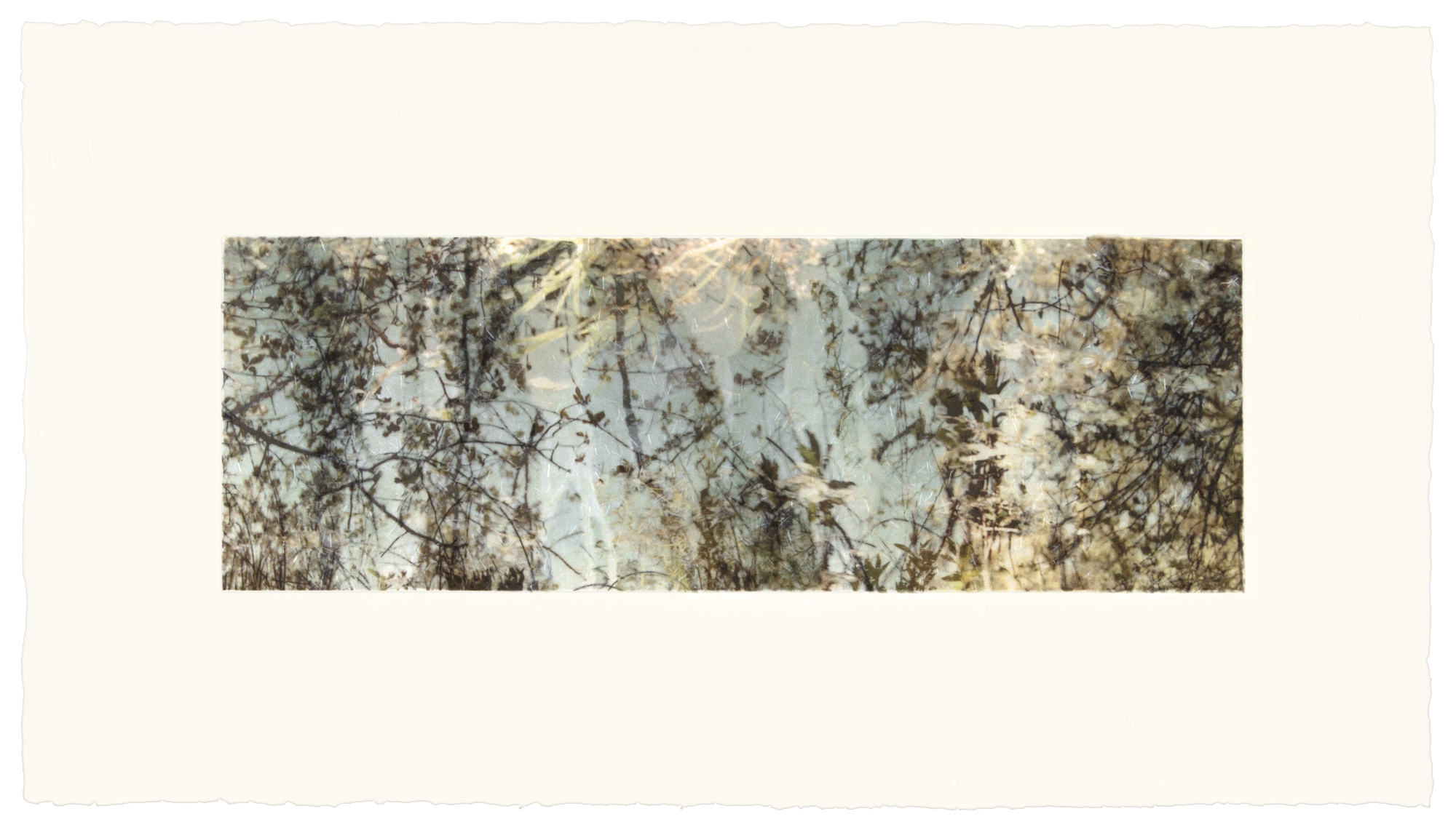   Green Pond , Long Island, NY, 2013  Ink jet print on Japanese rice paper, rice papers, wax  13” x 26” 