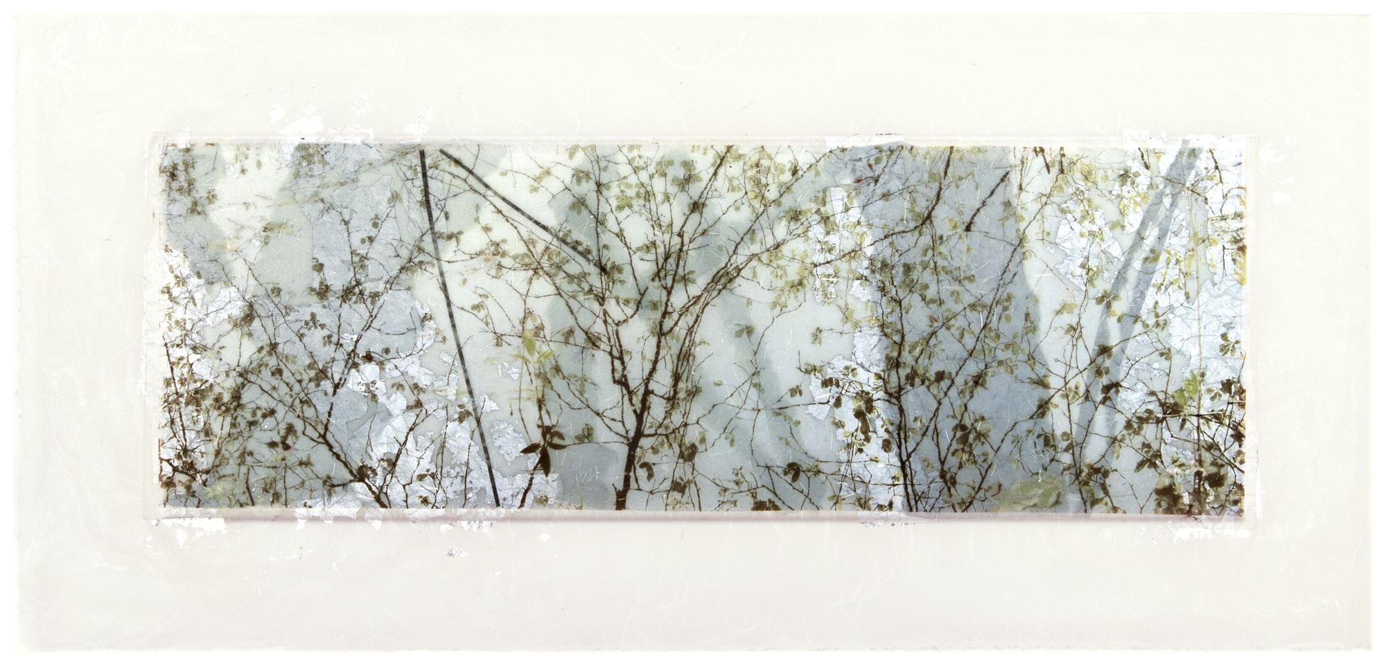   Transparent Pond,  Long Island, NY, 2014  Ink jet print on Japanese rice paper, rice papers, silver leaf, wax  13” x 29” 