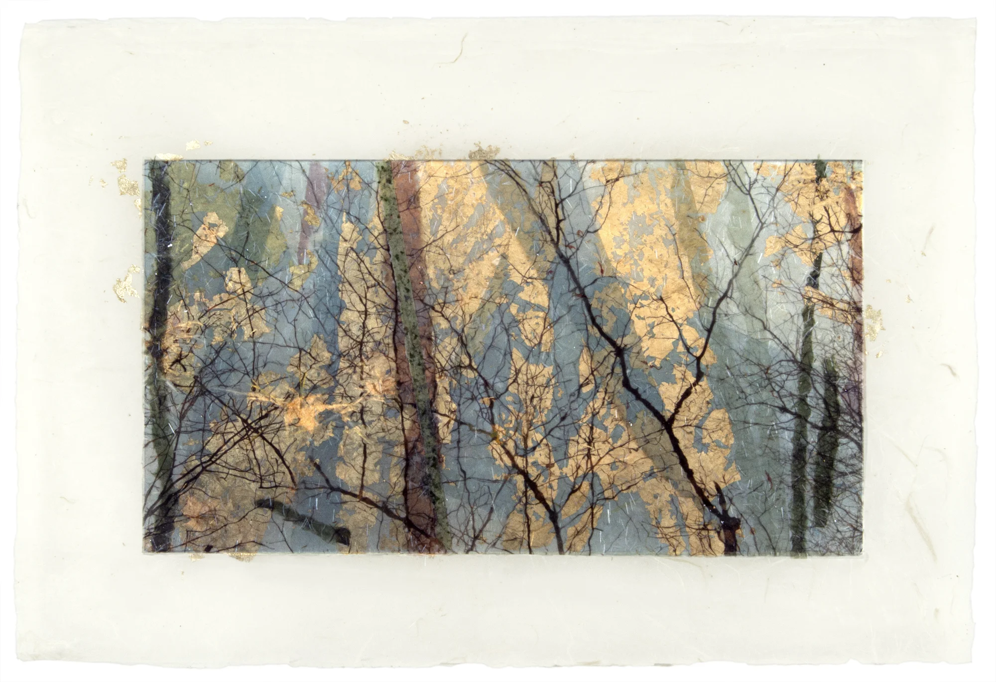   Reflections , Long Island, NY, 2013  Ink jet print on Japanese rice paper, rice papers, gold leaf, wax  16” x 25” 