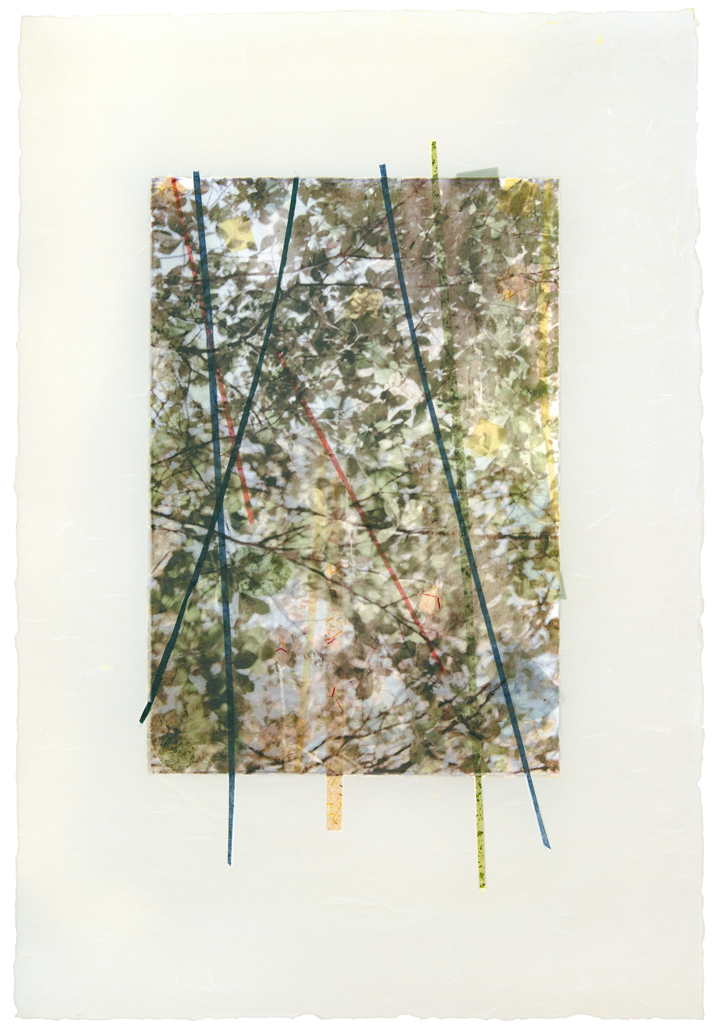   Light Streams , Long Island, NY, 2014  Ink jet print on Japanese rice paper, rice papers, wax  28” x 20” 