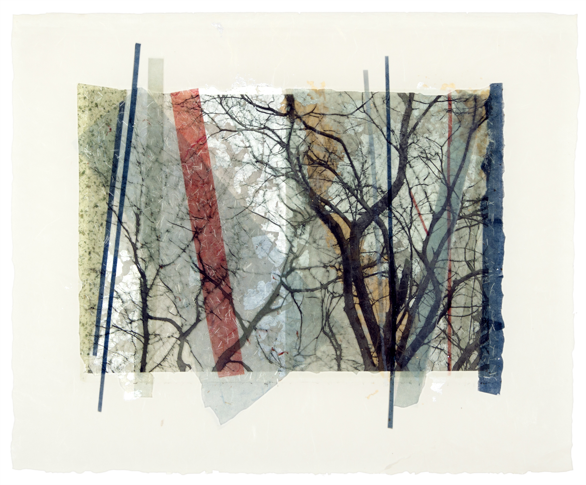   Reflected Trees , Long Island, NY, 2014  Ink jet print on Japanese rice paper, rice papers, silver leaf, wax  18” x 23” 