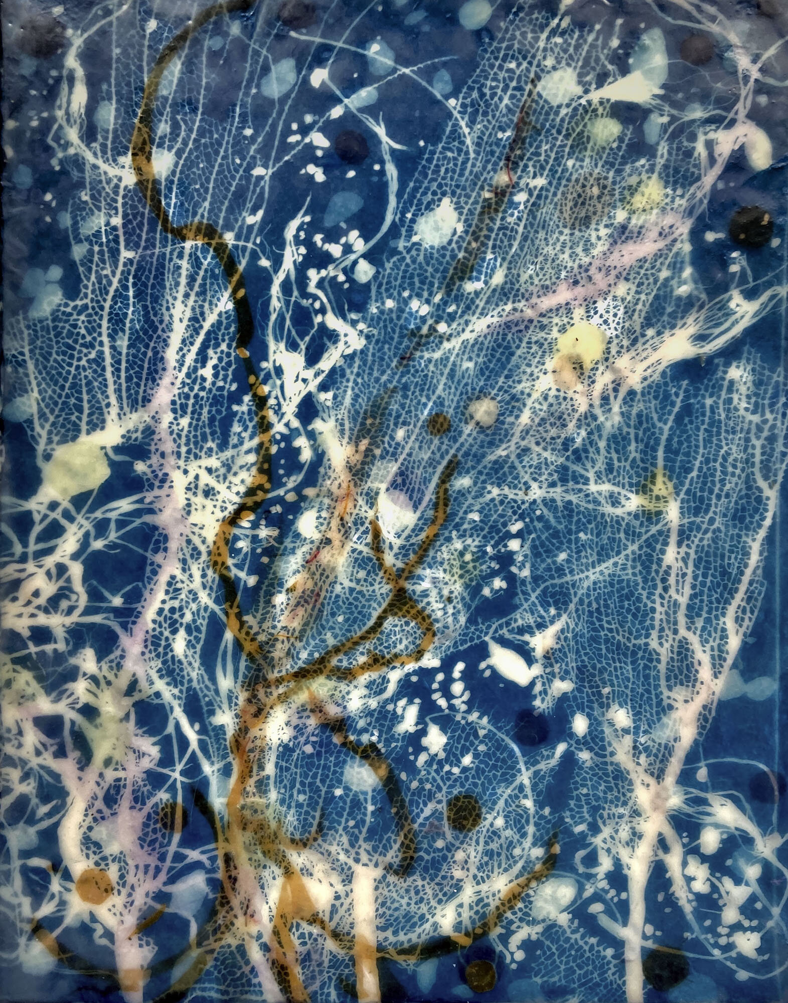   Tobago Coral Sea I, 2020                                                                       Cyanotype on Japanese rice paper, colored Japanese rice papers, wax, encaustic board                                                                     