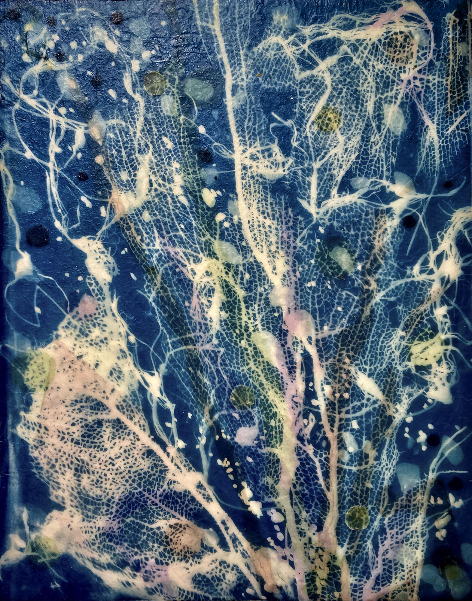   Tobago Coral Sea II, 2020   Cyanotype on Japanese rice paper, colored Japanese rice papers, wax, encaustic board   11” x 14” 