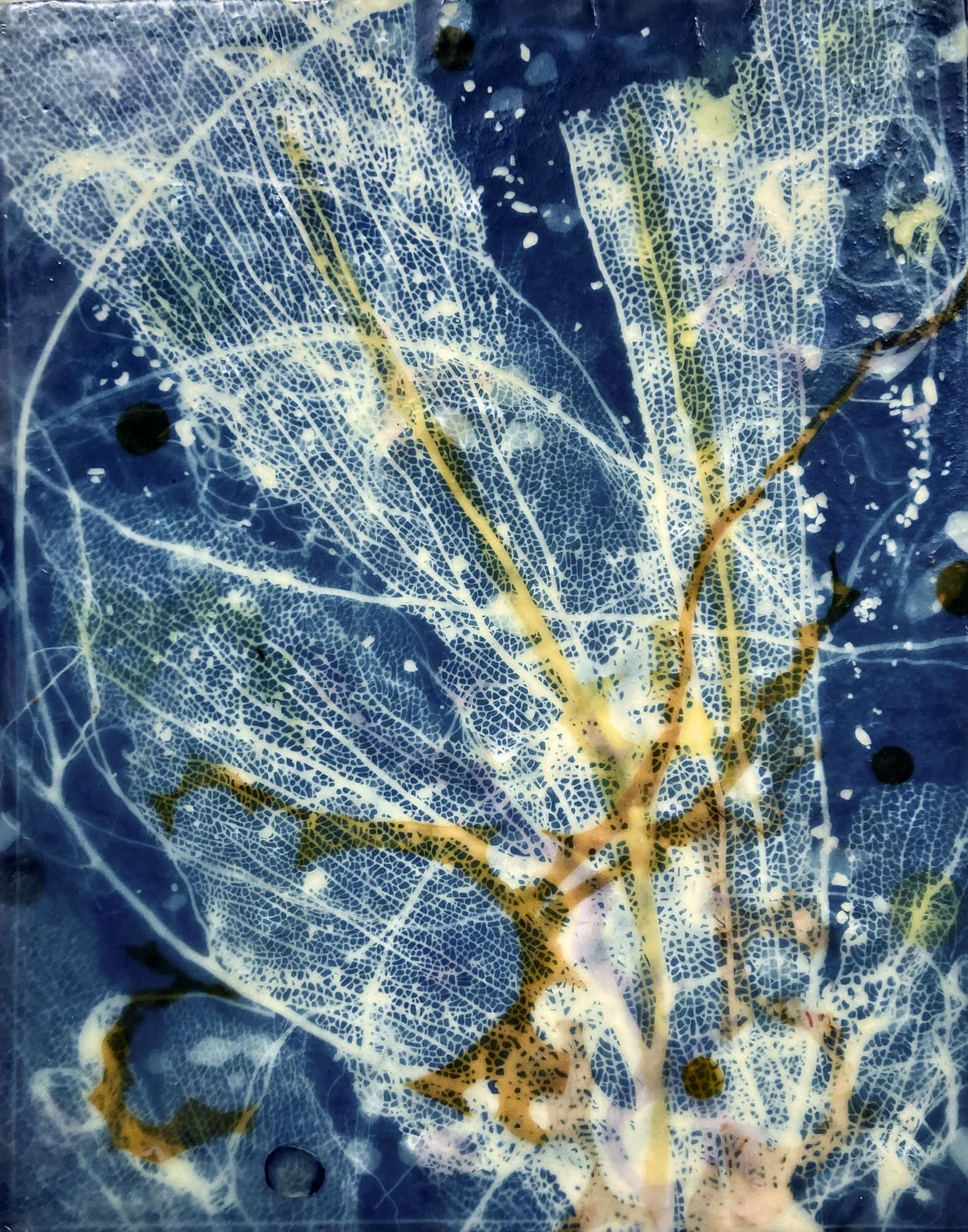   Tobago Coral Sea III, 2020   Cyanotype on Japanese rice paper, colored Japanese rice papers, wax, encaustic board   11” x 14” 