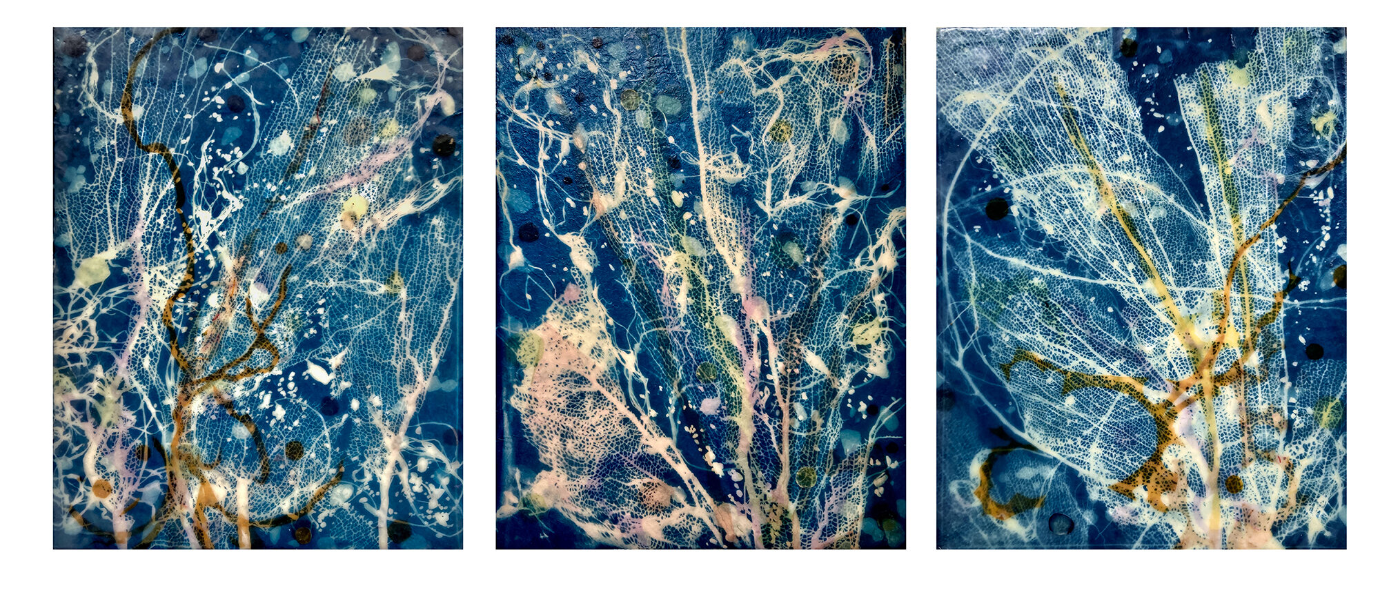   Tobago Coral Sea Triptych, 2020    Cyanotypes on Japanese rice paper, colored Japanese rice papers, wax, encaustic board   3 images 11" x 14"  