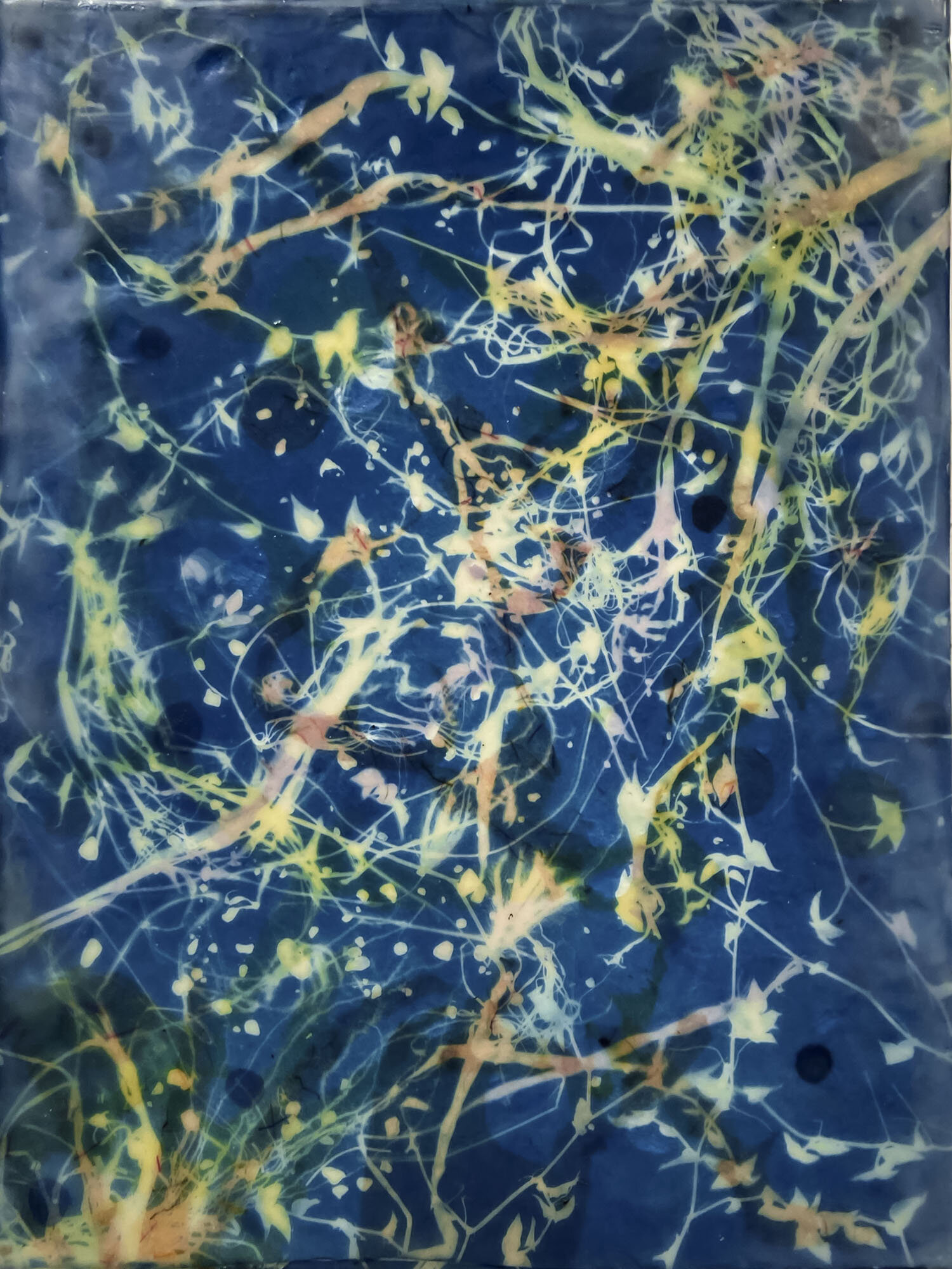   Underwater Tobago II,  2020  Cyanotype on Japanese rice paper, colored Japanese rice papers, wax,  encaustic board   12” x 16” 