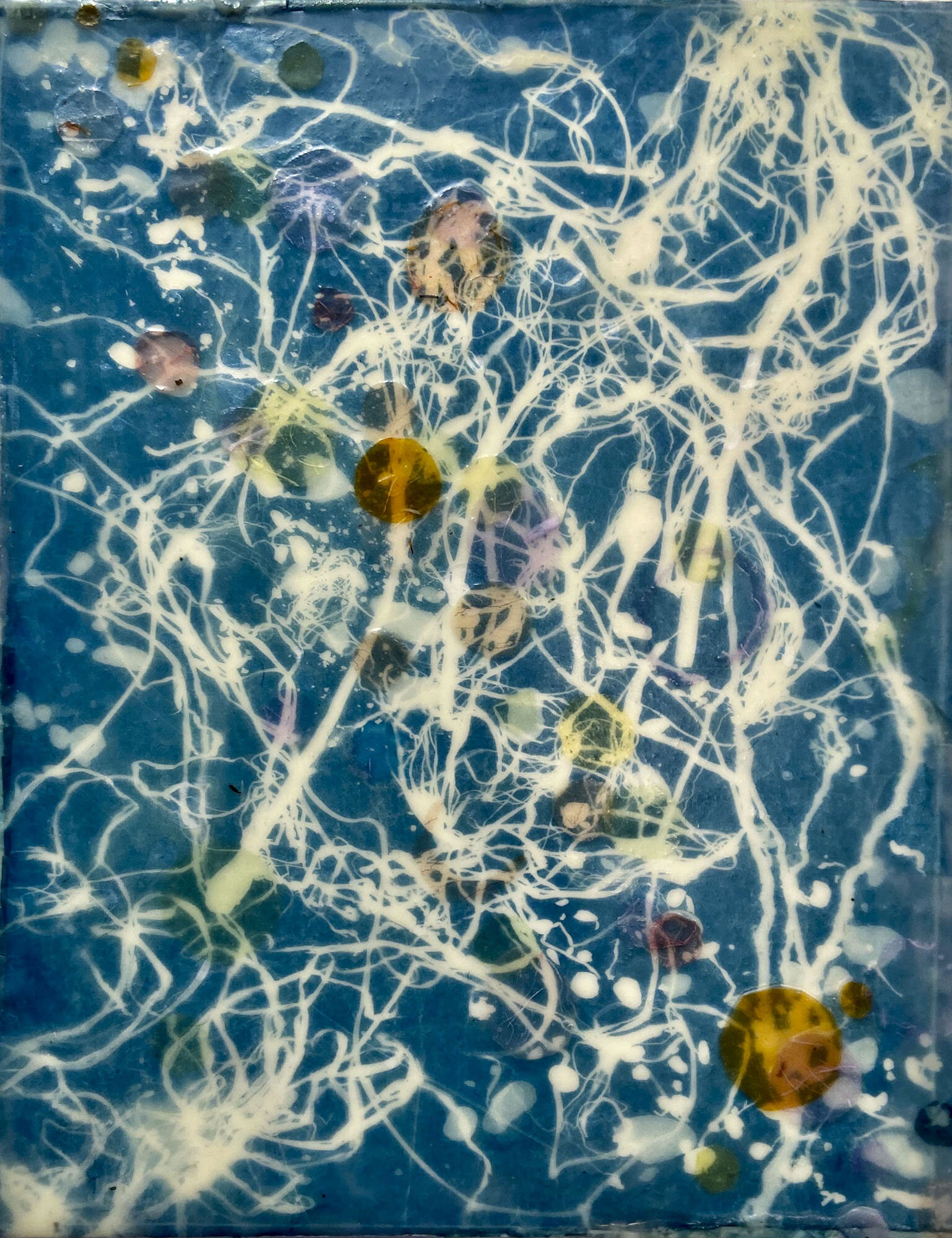   Tobago High Tide,  2020  Cyanotype on Japanese rice paper, colored Japanese rice papers, wax,  encaustic board   11” x 14” 