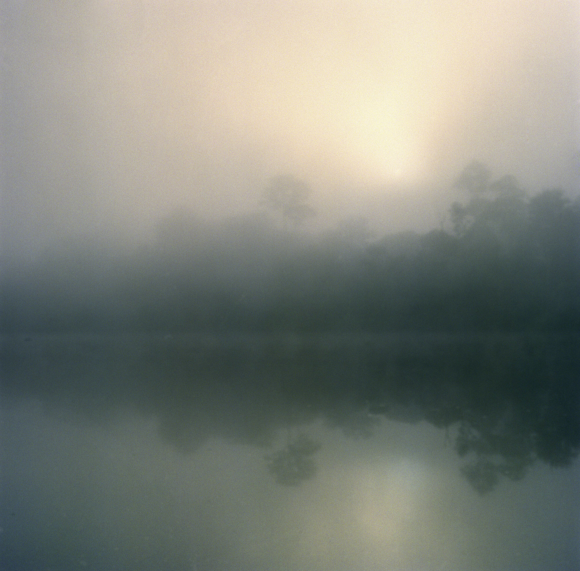   Sunrise I , Surinam, 2005  Archival ink jet prints on photo rag fine art paper  30" x 30"  