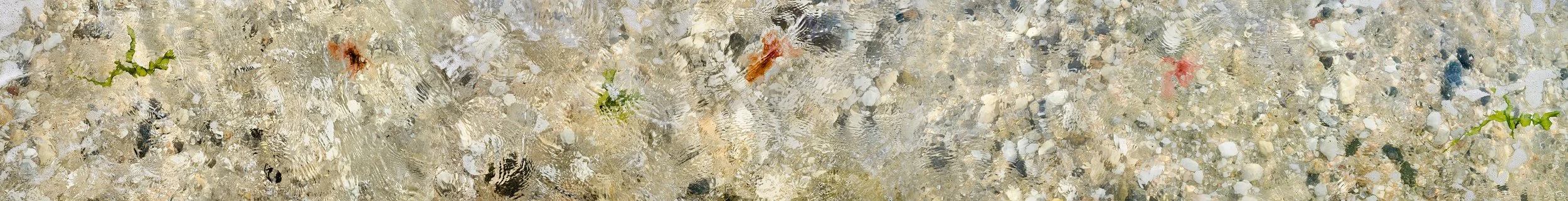  White Light Panorama, 2026  Archival inkjet print on photo rag fine art paper  12” x 93.5” 