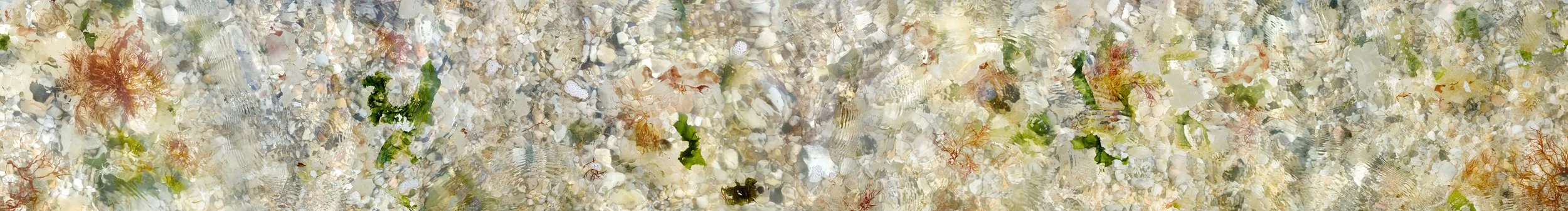  Floating Green Panorama, 2026  Archival inkjet print on photo rag fine art paper  12” x 93.5” 