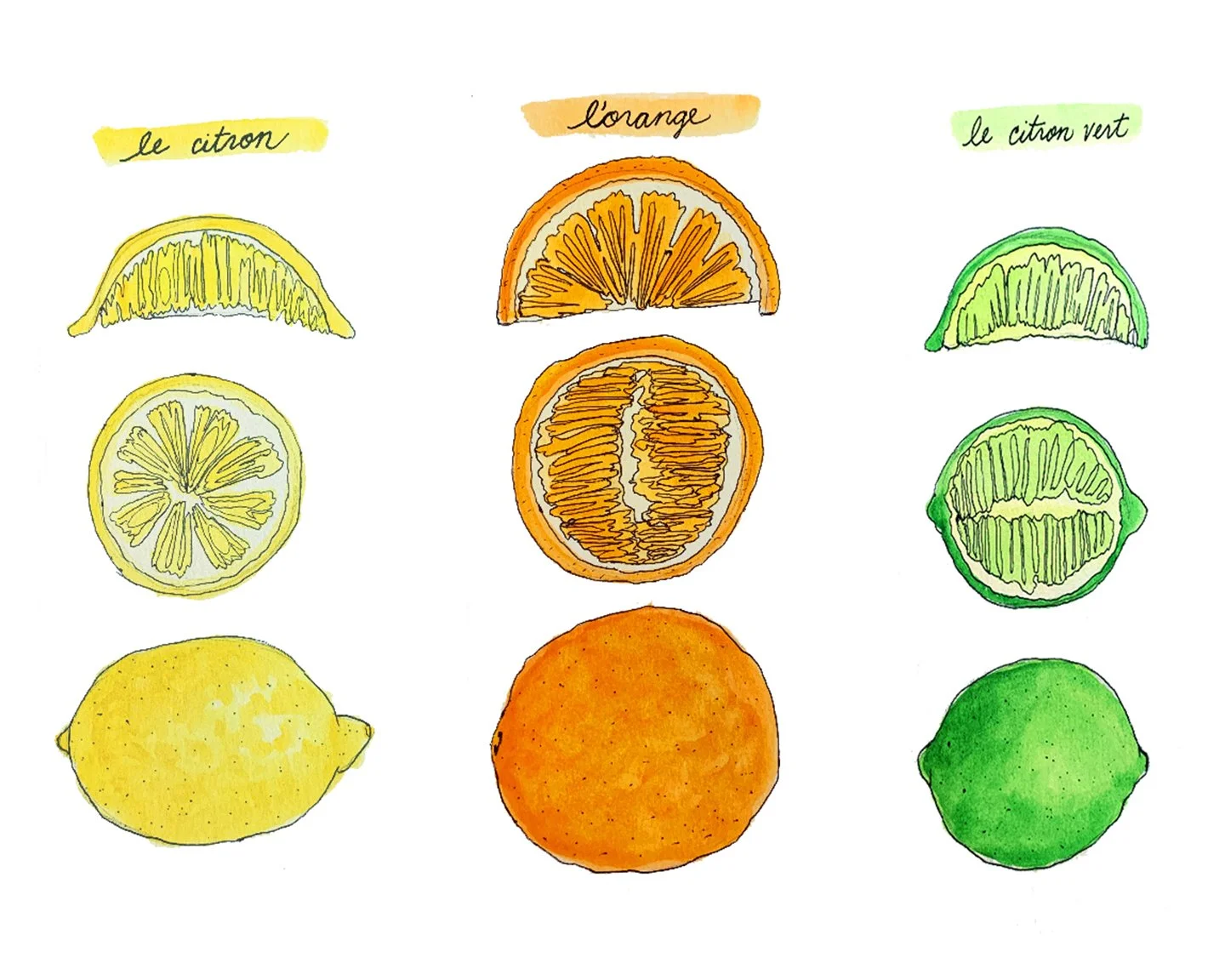 CitrusSeries.jpg
