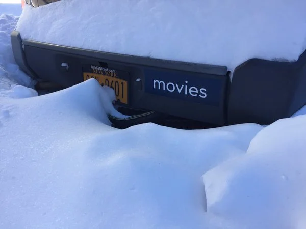 bumper sticker in action.jpg