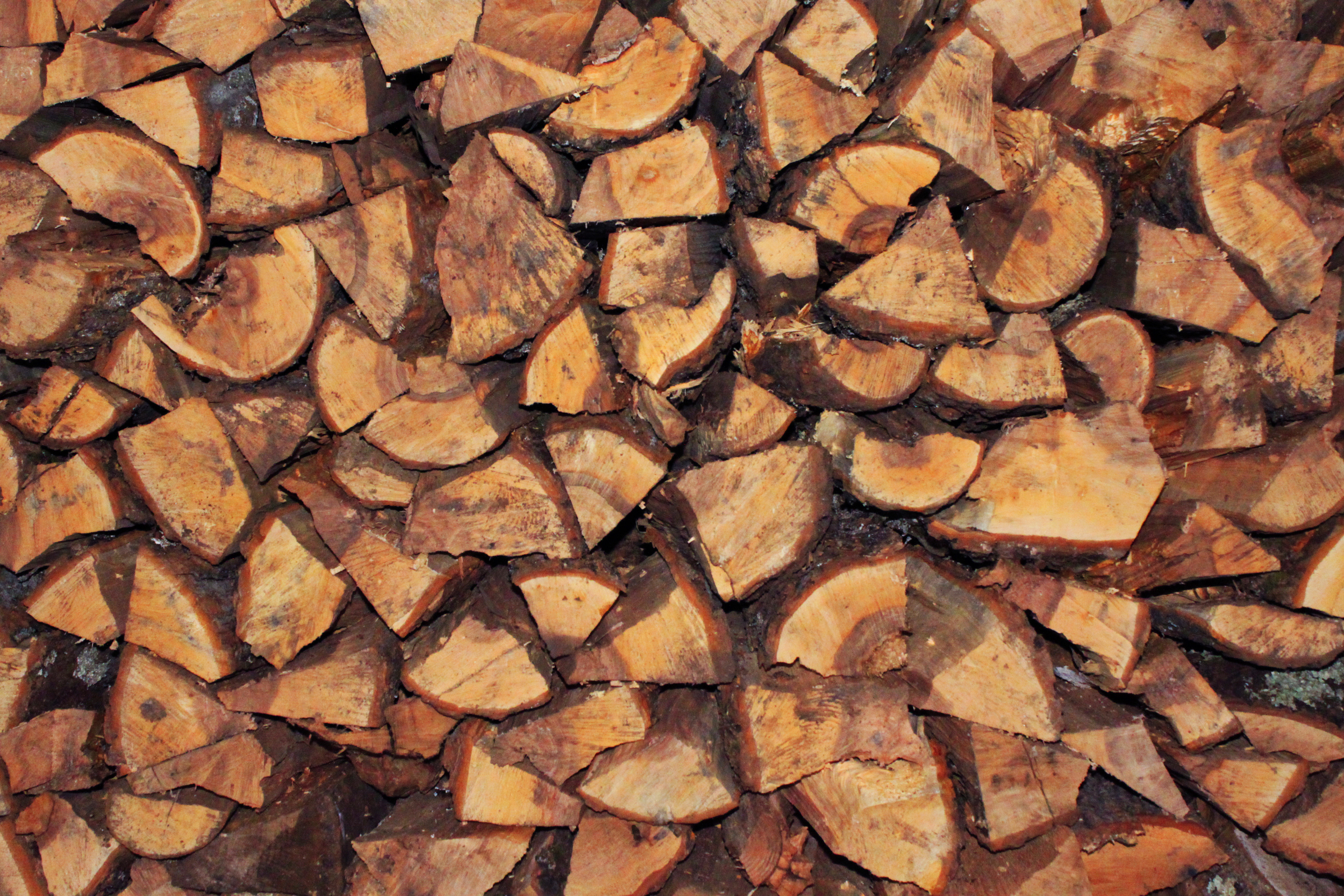 chopped-wood.jpg