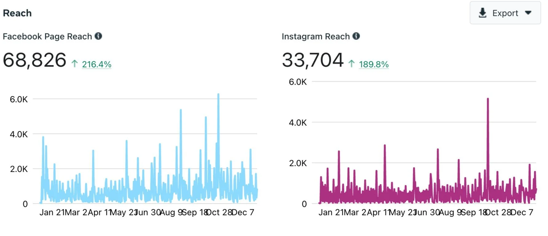 Social Media Success