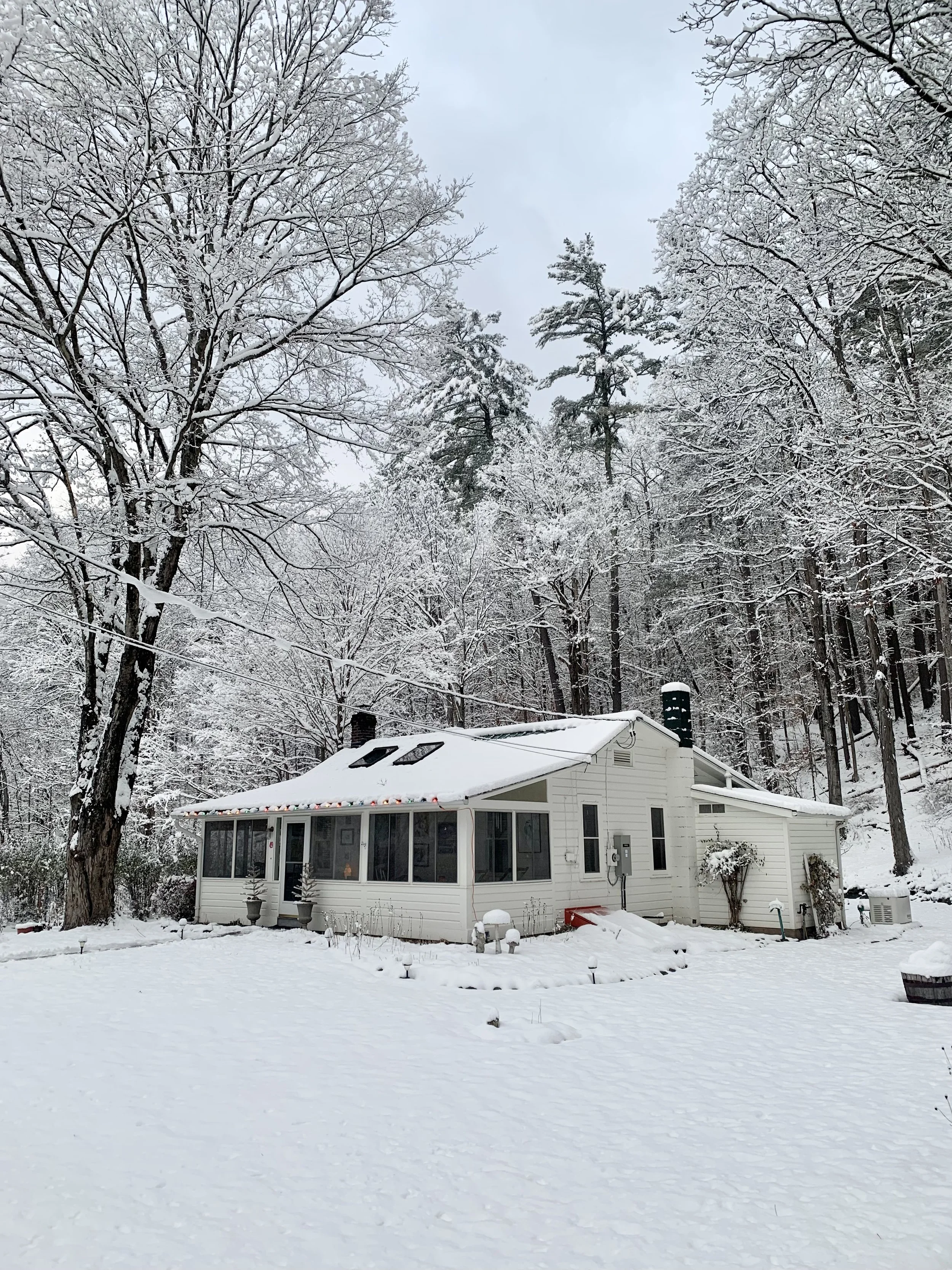 A Very Catskills Christmas