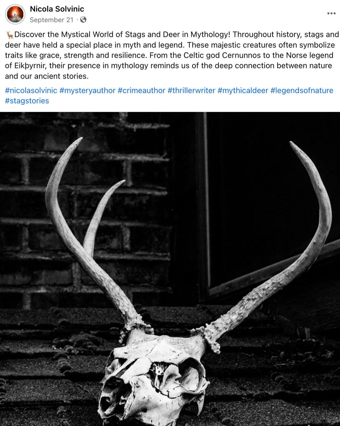  Social Media Post Creation 