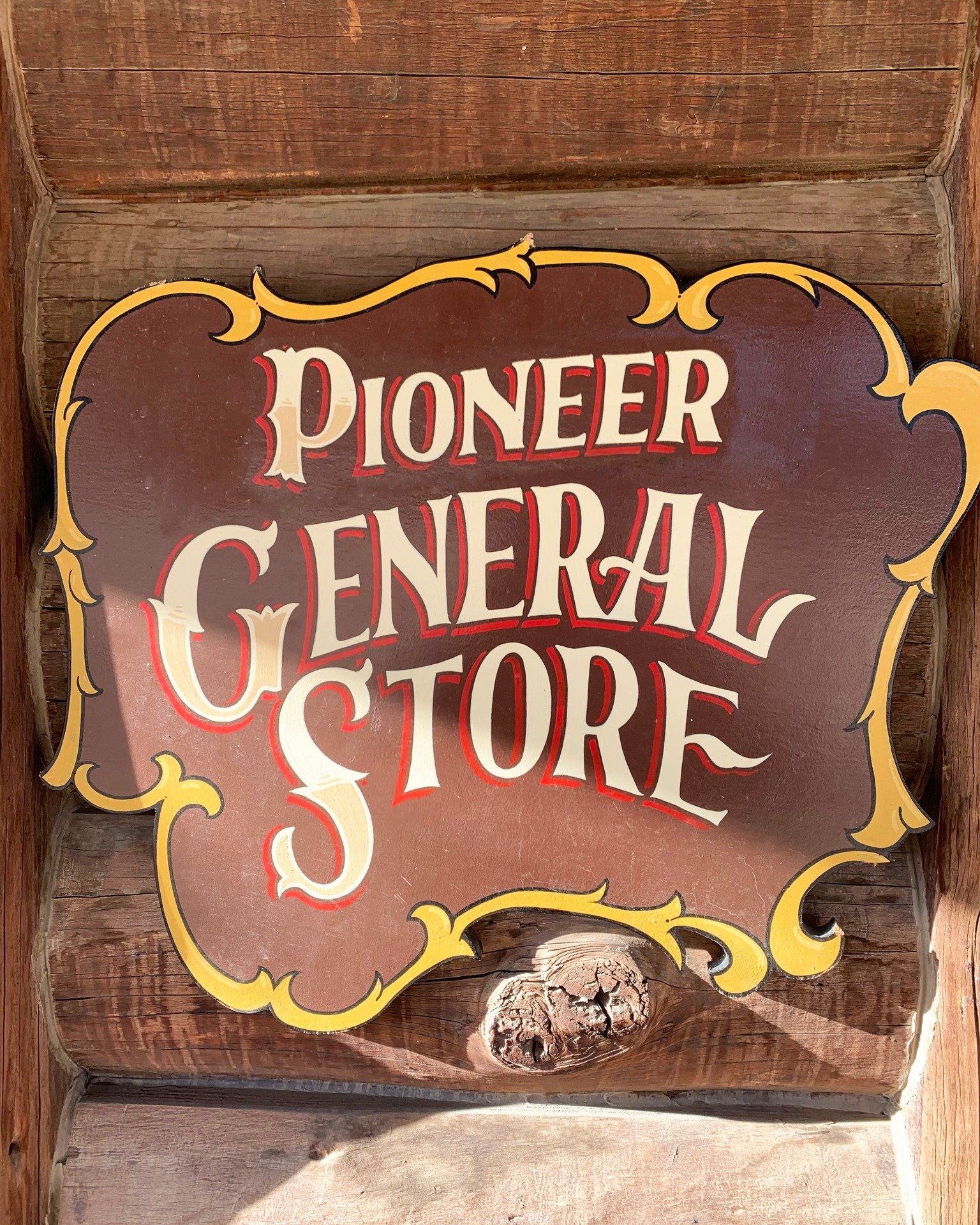 Here's what y'all can purch at the Pioneer General Store 🤠: Social Media Marketing (including posts and advertising), Email Marketing, Content Creation, SEO Strategies, Website Design &amp; Development (including amazing E-Commerce experience), Goog