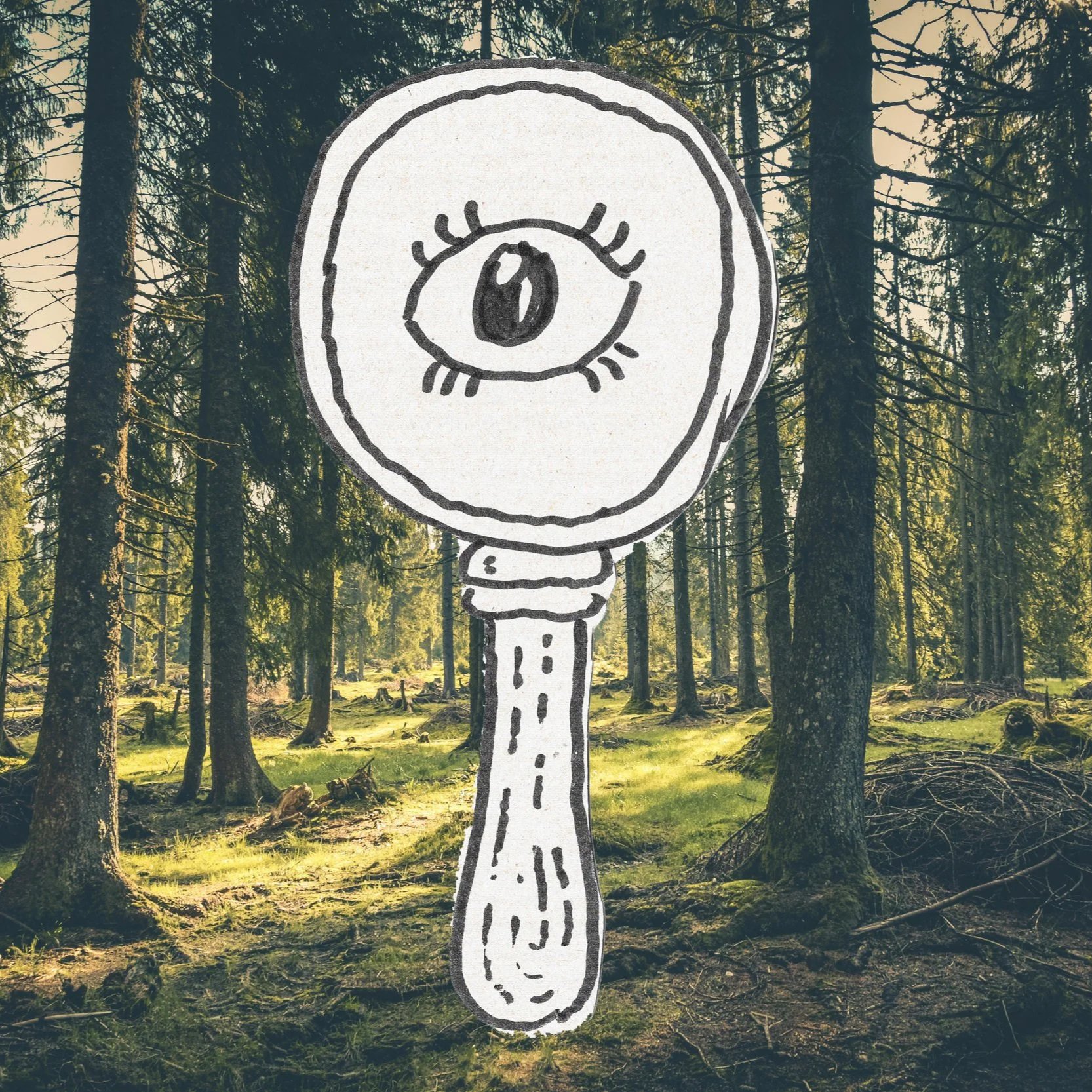 Everybody Wants to Rule the URL