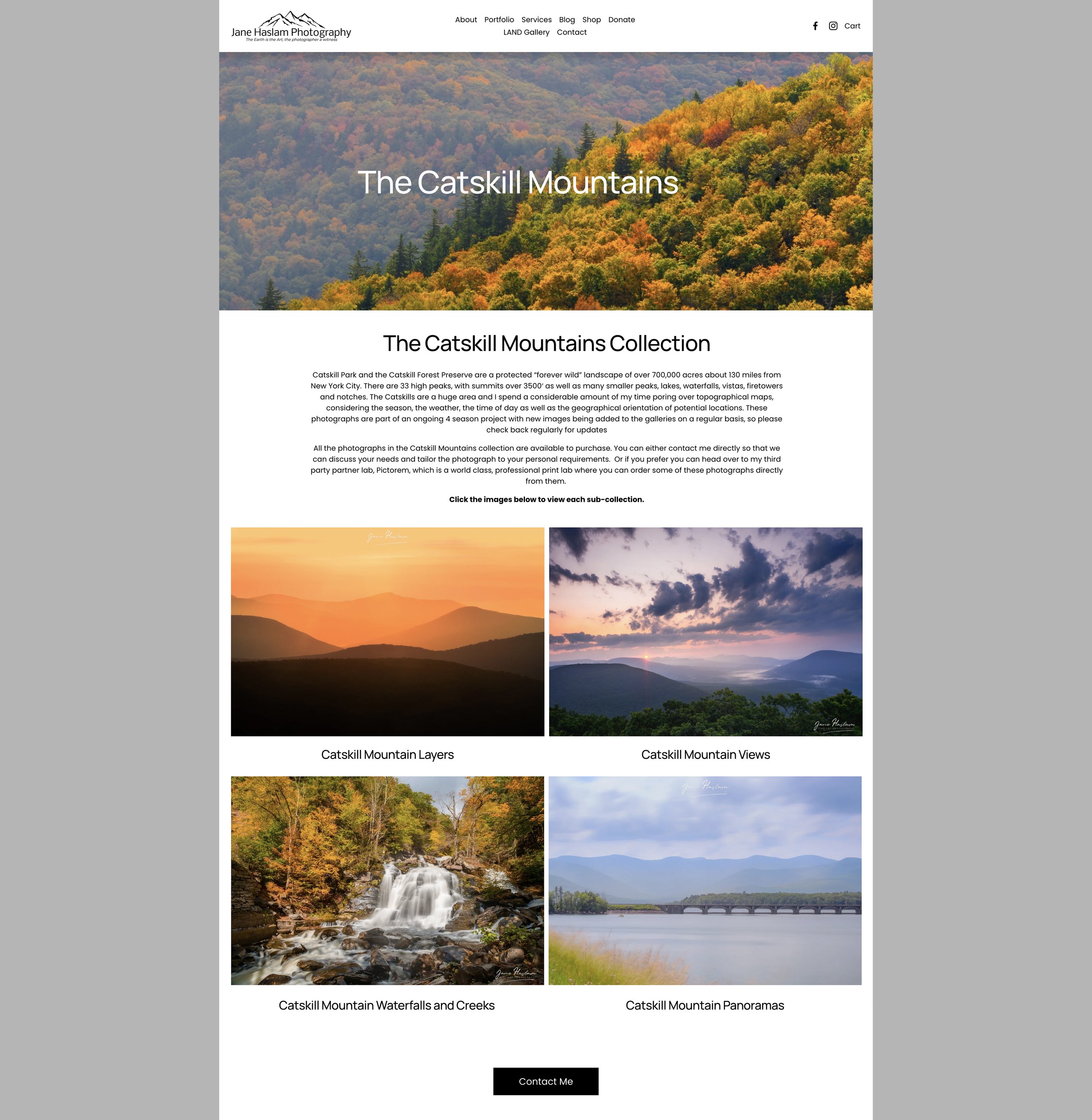  Portfolio Collection Page 