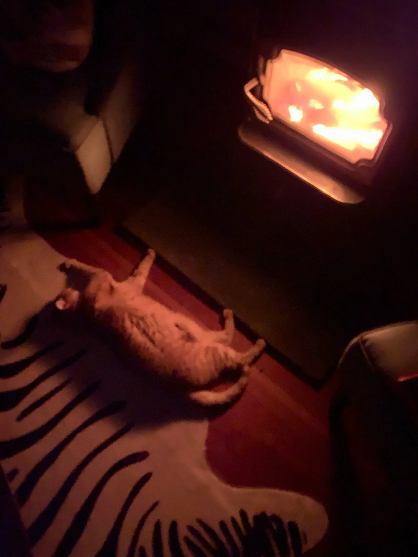 It&rsquo;s been a winter like none other... Almost an old-fashioned winter of lore. And it&rsquo;s been particularly difficult for me. I slipped on the ice and broke my arm, a 100-ft pine fell and destroyed my garage in a storm and ice dams on the ro