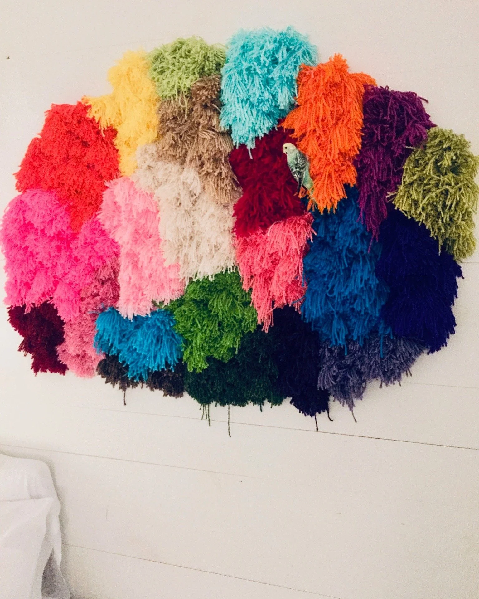 My #1 office assistant, BB the parakeet, recently had a run-in with a yarn wall art piece by @heybuddyvalentine. Colorful hilarity and squawking ensued&hellip; 🐦😅

But fear not - Mr. BB is back safe and sound in his luxury habitat. No animals (or y