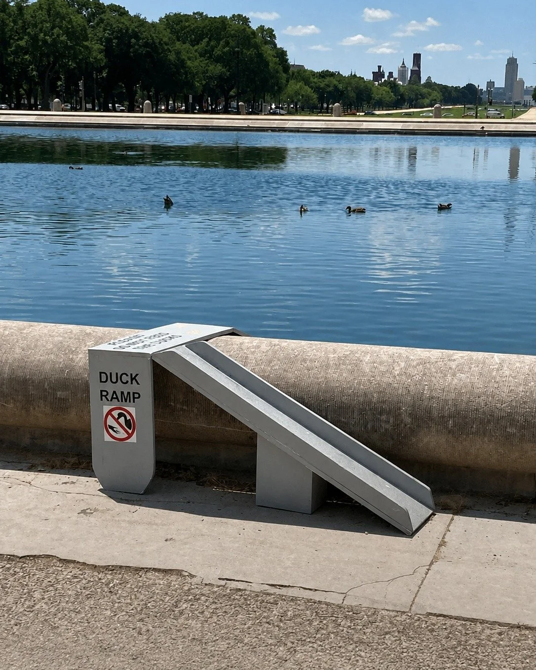 Thoughtful design never skimps on compassion. 🦆

Believe it or not, this duck ramp is in Washington, D.C.
Just don't feed the animals. 😉

#thoughtfuldesign #empathy #urbandesign