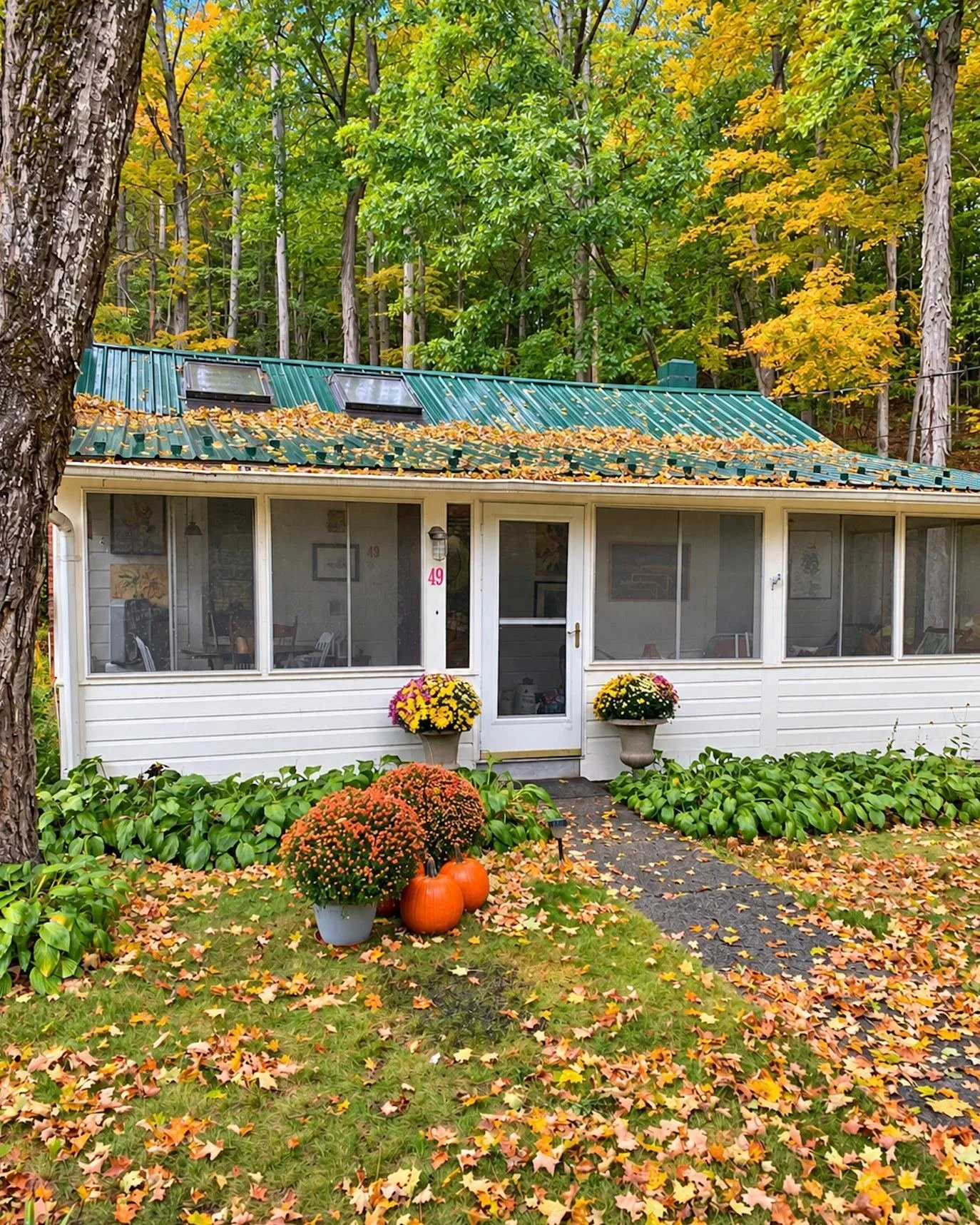 🍁 FALL OFFICE VIBES: ACTIVATED. 🍂

There are definitely worse places to answer emails, design websites and make marketing magic than from my little cottage home office in the Catskills. 🏡💻

Pumpkins out. Mums blooming. Leaves turning and producti