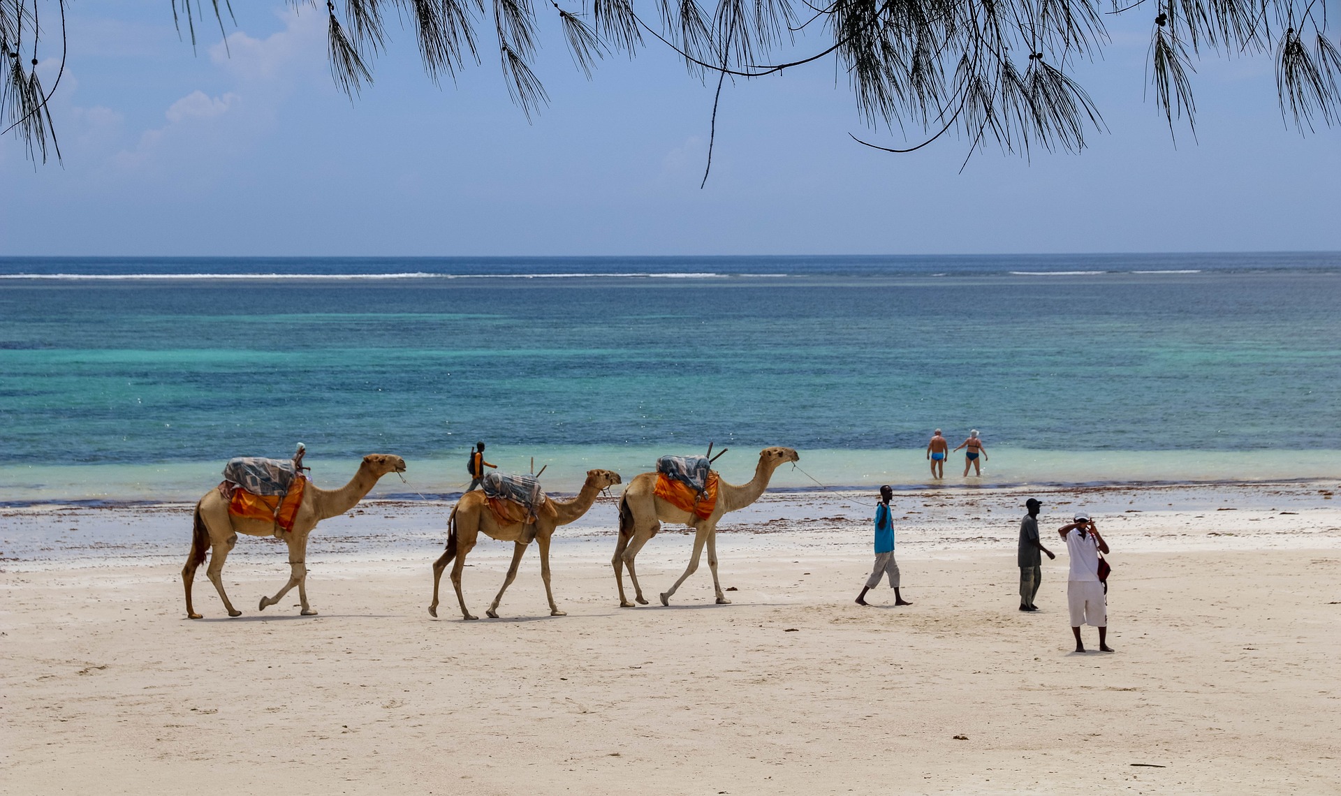 MOMBASA - KILIFI - DIANI. - 3 NIGHTS ON THE COAST. You’ll visit Fort Jesus to learn about the history of colonization along Kenya’s coast and the role it played in the slave trade. You’ll also explore Mombasa’s charming Old Town, with its spice markets, tuk-tuks, and narrow streets. A day trip to Diani will give you a chance to relax and reflect on a beach with crystal clear waters. During this portion of the trip, we’ll be joined by the writers and photographers who are putting Kenya’s coast on the map.