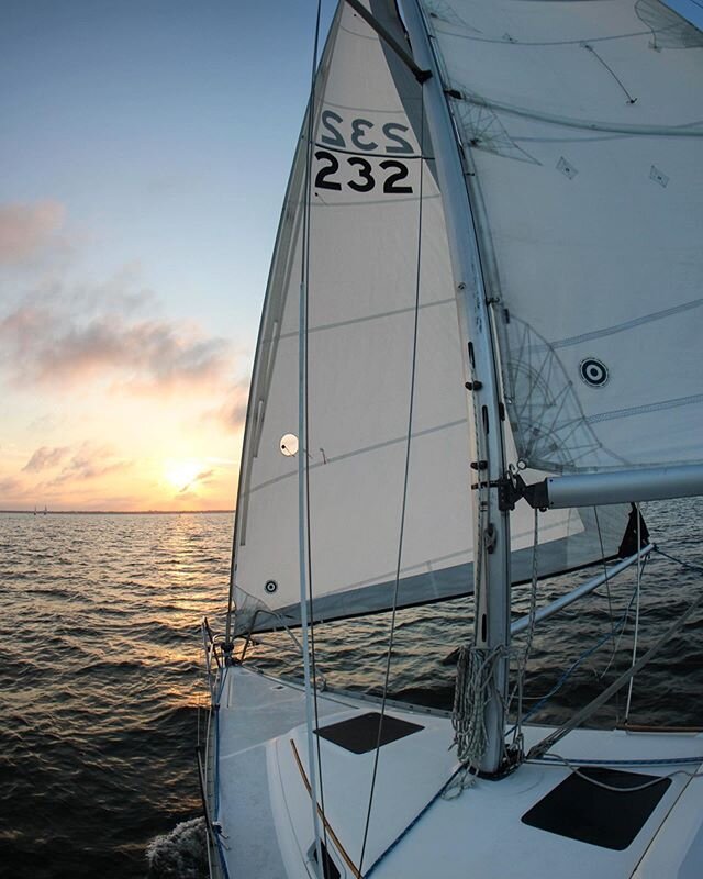 Downwind Sundowner #thesailormon #aleboatii #sailaddict #sailgrammers #sailorsbox #cruisingoutpost